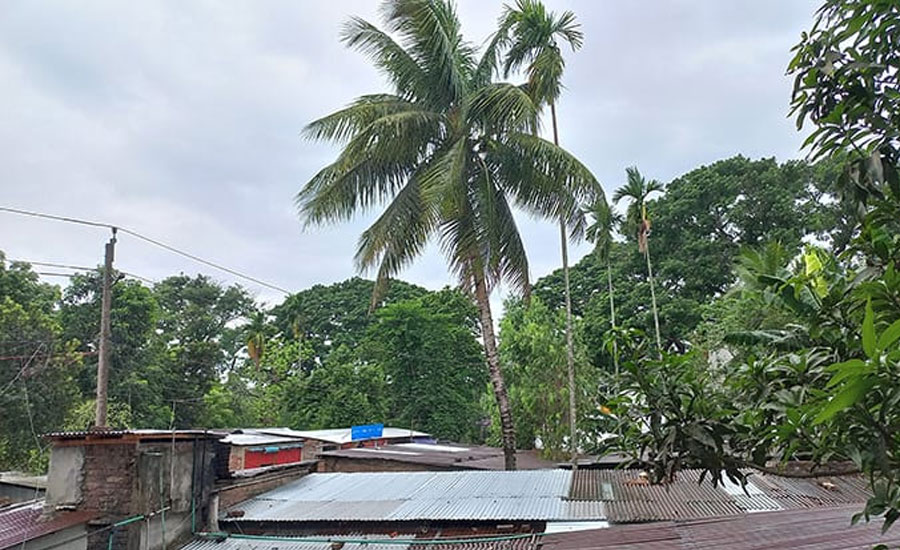 রংপুরে গুঁড়ি গুঁড়ি বৃষ্টি