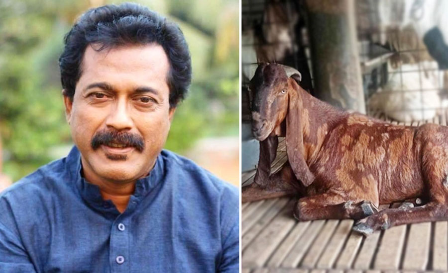 ছাগলকাণ্ডে ১৬ টাকার ছাগলের গল্প শোনালেন অভিনেতা ফারুক