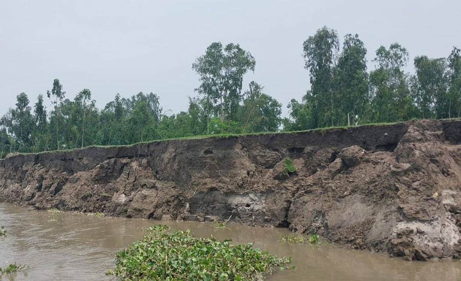 নাগেশ্বরীতে গঙ্গাধর নদীর তীব্র ভঙ্গন নিঃস্ব শতশত পরিবার