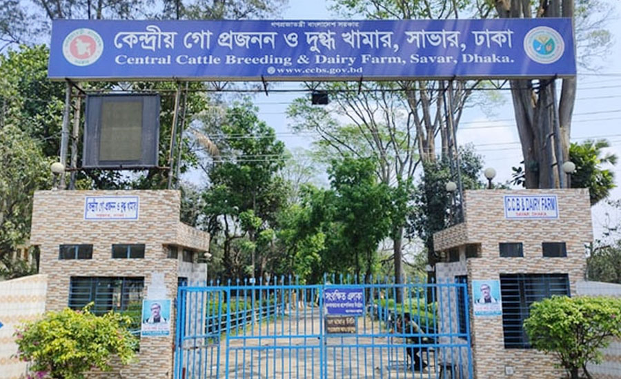 সাদিক অ্যাগ্রোকে অনৈতিক সুবিধা: কেন্দ্রীয় গো প্রজনন কেন্দ্রে দুদকের অভিযান