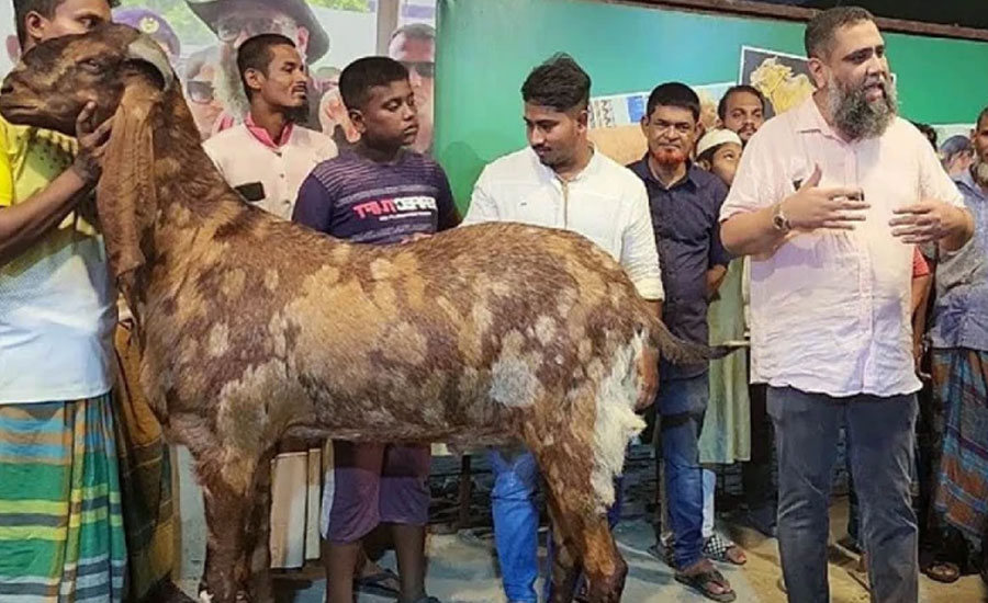 ১৬ বছর অবৈধ জায়গায় কীভাবে ব্যবসা করল সাদিক অ্যাগ্রো?