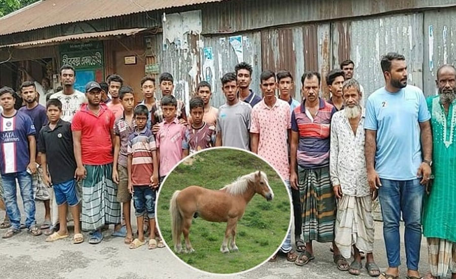 ঘোড়ার মাংস খেয়ে বিপাকে চৌধুরী!