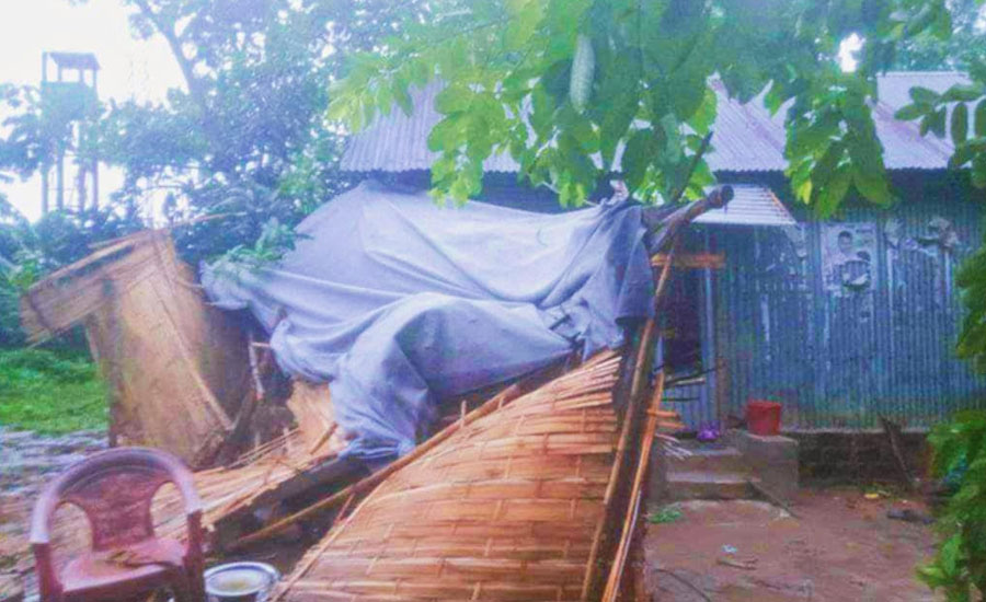 শেরপুরে হঠাৎ গ্রামে হাতির তান্ডব, দিশেহারা গ্রামের মানুষ 
