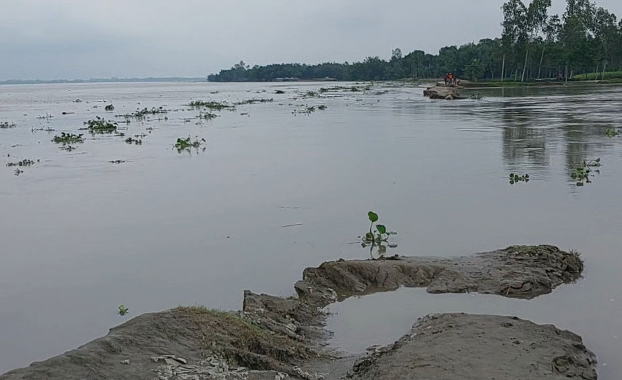 নাগেশ্বরীতে ভেঙ্গে গেছে দুধকুমার নদের বন্যা নিয়ন্ত্রণ বাঁধ অর্ধ লক্ষাধিক মানুষ পানিবন্দী