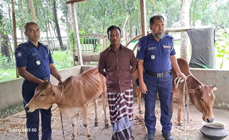 কুড়িগ্রামে আন্ত জেলা গরুচোর সিন্ডিকেটের অন্যতম সদস্য আতিক কসাই গ্রেফতার
