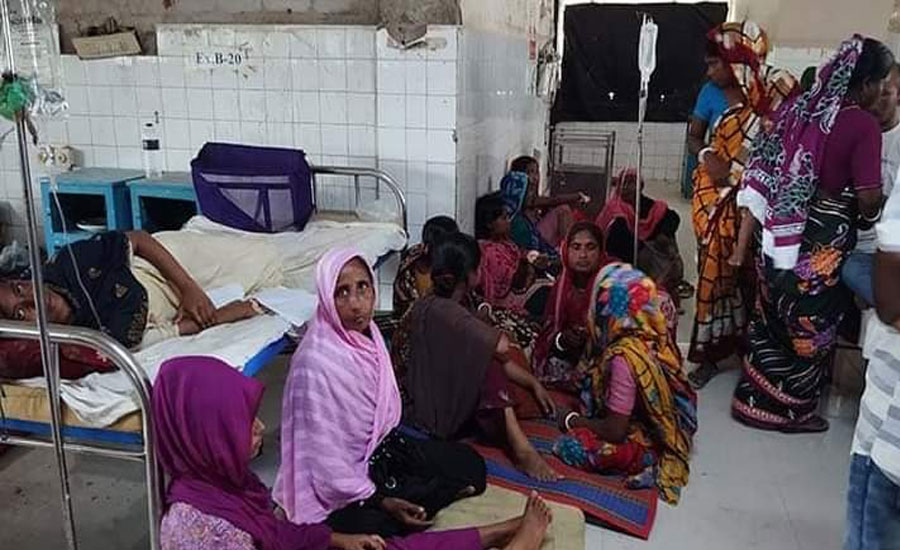 চৌগাছায় সাপ আতঙ্ক: ‘জিন সাপে’এক গ্রামেই ৫০ জনের দংশন!