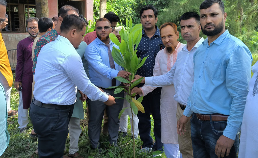 কুতুবপুর ইউনিয়ন ফাউন্ডেশনের প্রথম বর্ষপূর্তি উপলক্ষে বৃক্ষরোপন ও মাদক বিষয়ক সভা