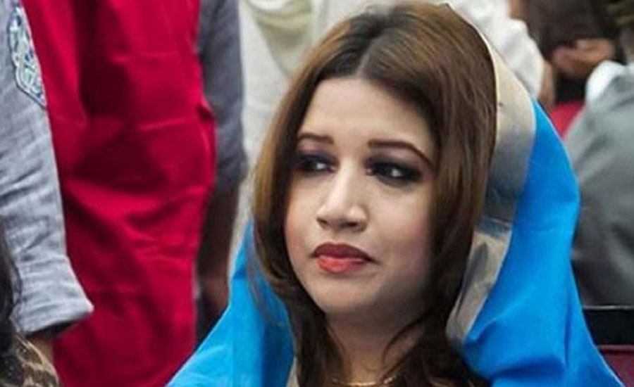বিএনপির সঙ্গে আমার সম্পর্ক রক্তের: শামা ওবায়েদের বিশেষ বার্তা