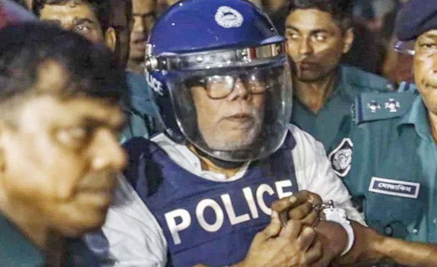 আমাকে ছেড়ে দিন, দেশ ঠিক করে দেব: সালমান এফ রহমান