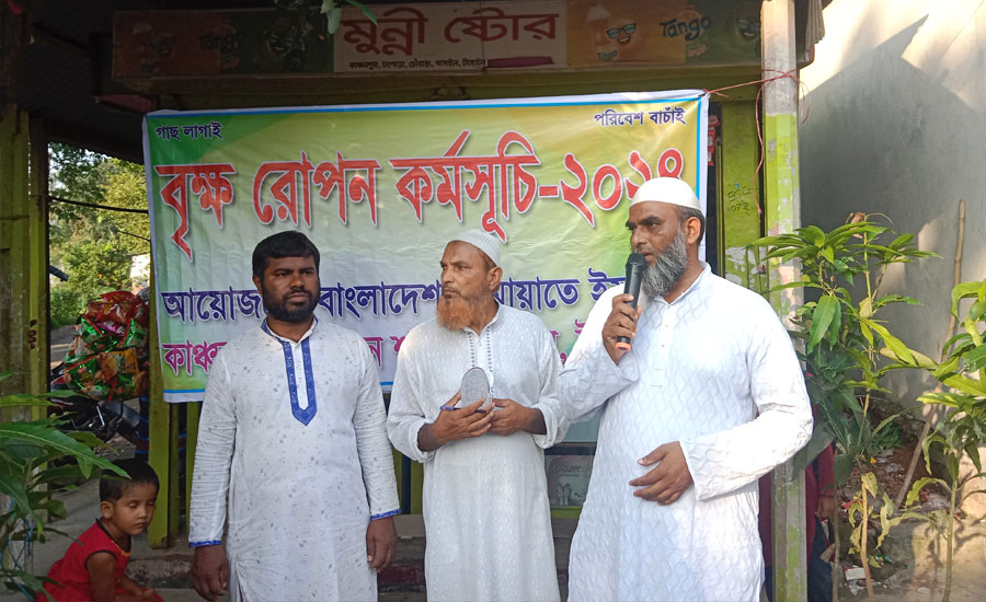 কাঞ্চনপুরে জামায়াতে ইসলামীর বৃক্ষ রোপন কর্মসূচির উদ্বোধন