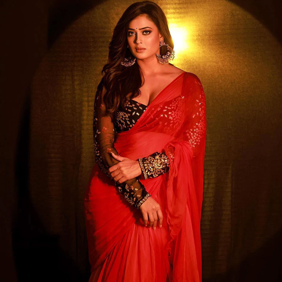 শাড়িতে রেড হট শ্বেতা তিওয়ারি, দেখুন চোখ ধাঁধাঁনো ছবি