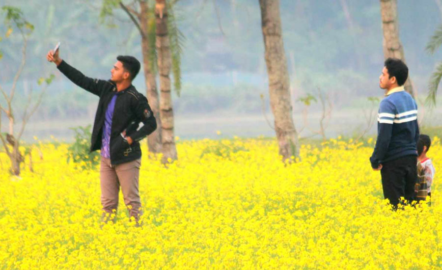 অভয়নগরে সরিষায় উৎপাদন ভালো হওয়াই মধু সংগ্রহে ব্যাস্ত মৌয়ালরা