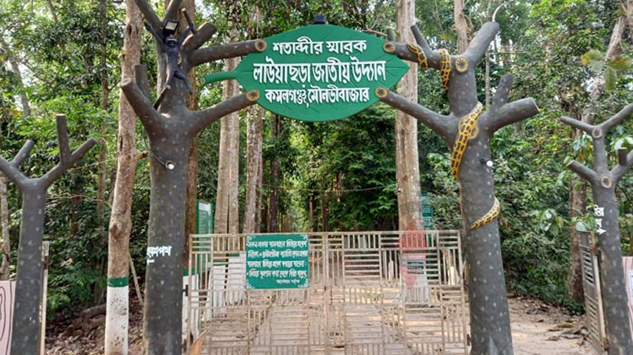 শীতে দেশের মধ্যেই ঘুরুন সেরা ১০ স্পটে