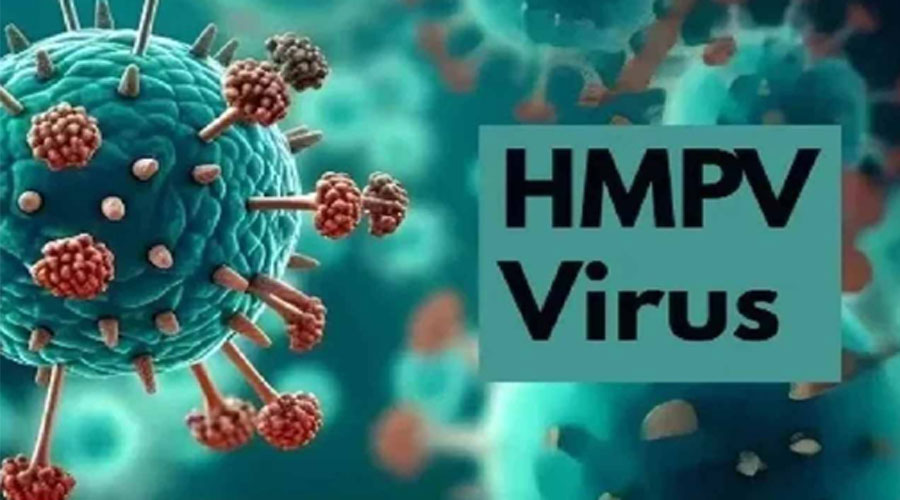 দেশে এইচএমপিভিতে আক্রান্ত সেই নারী মারা গেছেন