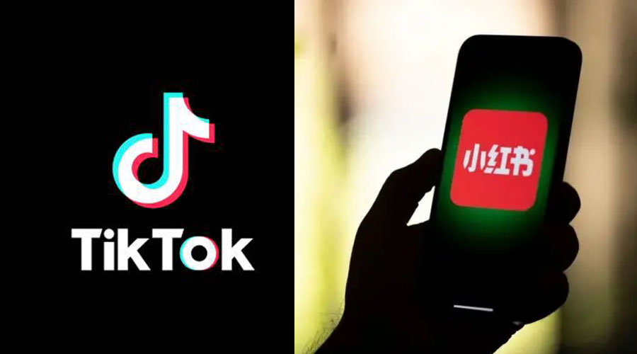 টিকটকে নিষেধাজ্ঞার আশঙ্কা, নতুন যে অ্যাপে মজেছেন আমেরিকানরা 