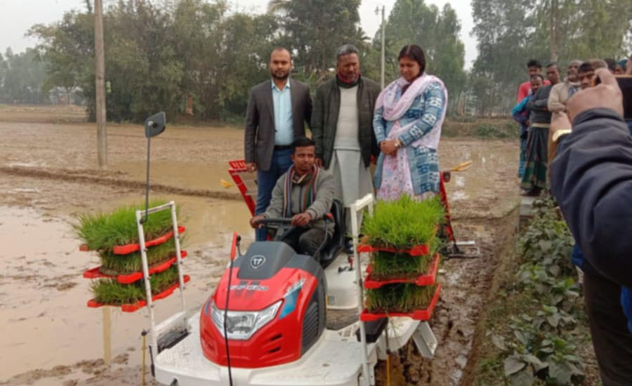 ঝিনাইগাতীতে সমলয় পদ্ধতিতে বোর ধানের চারা রোপনের উদ্বোধন