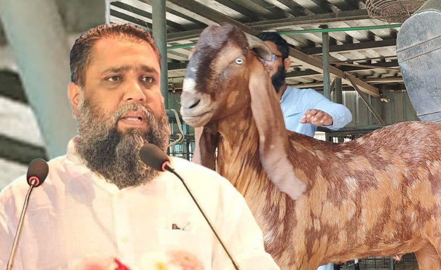 সাদিক এগ্রোর চেয়ারম্যান ইমরান গ্রেপ্তার 