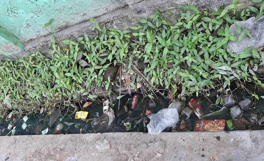 মশার উপদ্রবে অতিষ্ঠ সাতক্ষীরা পৌরবাসী