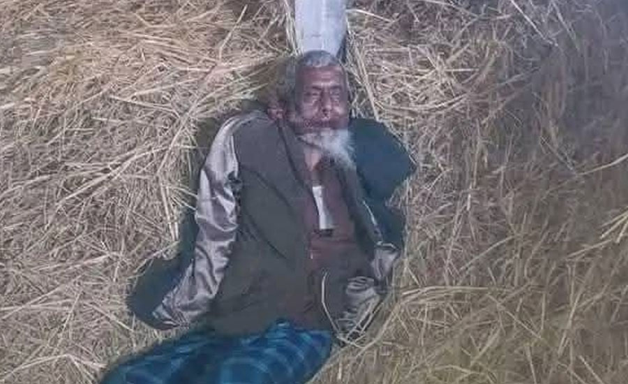 নেত্রকোণায় পাহারাদারকে খুন করে ৭ গরু চুরি