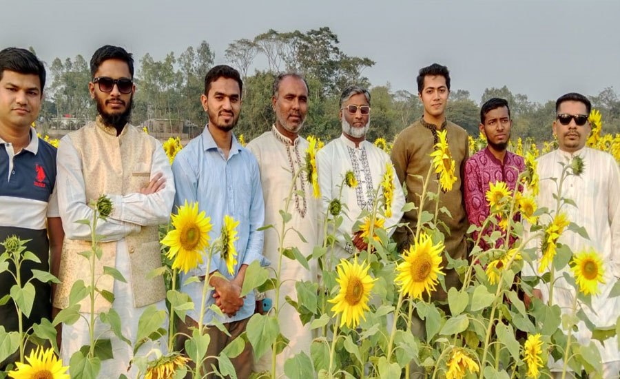 গোয়াইনঘাটে সূর্যমুখী ফুলের মনোরমে দেখতে মানুষের ঢল