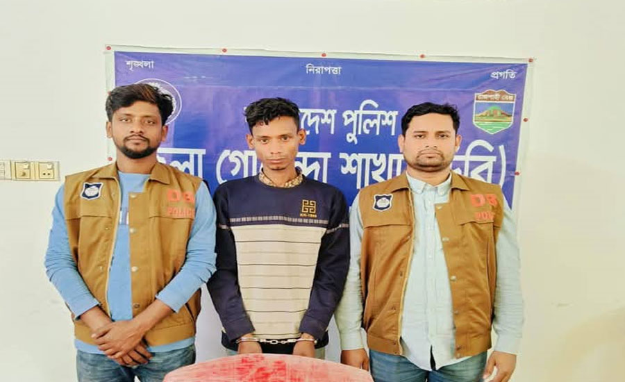 নাটোরে ডিবির অভিযানে ৫ কেজি গাঁজা সহ আটক ১। 