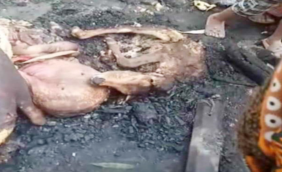 ভোলাহাটে বৈদ্যুতিক সর্ট শার্কিটের আগুনে গবাদীপশু সমেত বাড়ি ভস্মিভূত!