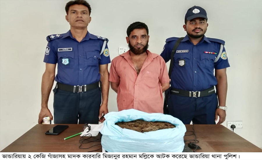 ভান্ডারিয়ায় দুই কেজি গাঁজাসহ মাদক কারবারি গ্রেফতার