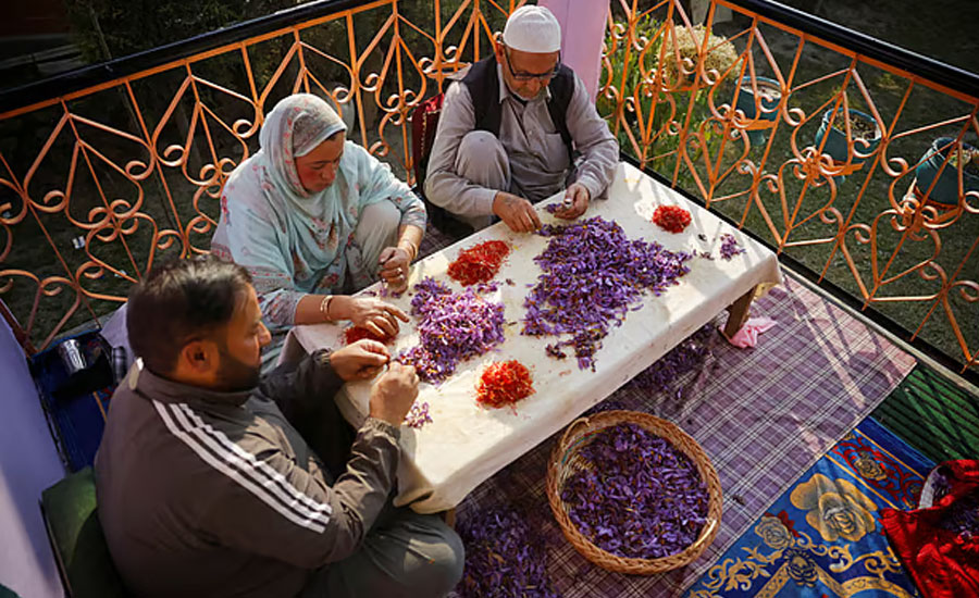 কীভাবে জাফরান বিশ্বের সবচেয়ে দামি মসলা হলো