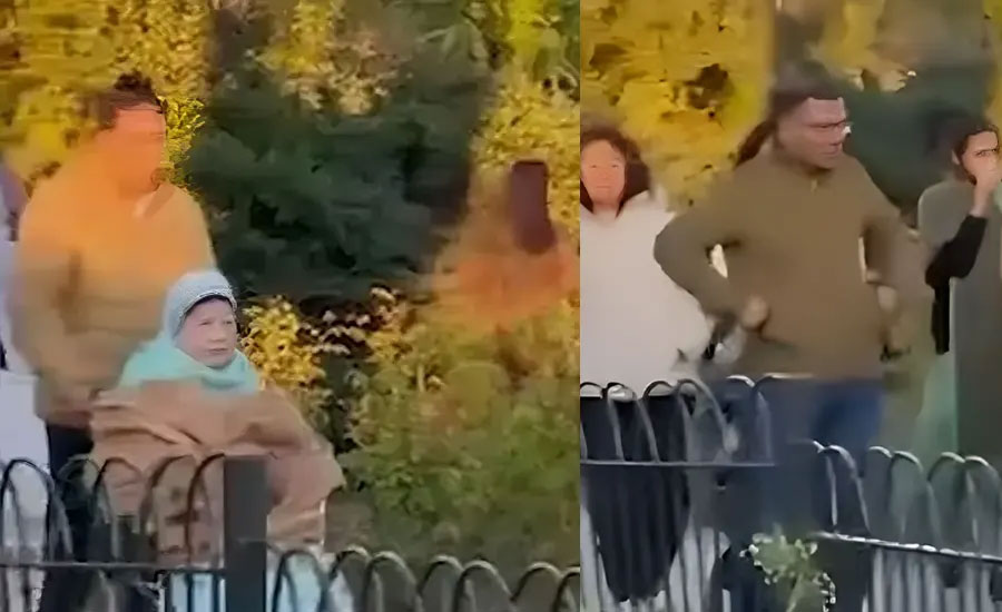 মাকে নিয়ে পার্কে ঘুরলেন তারেক রহমান