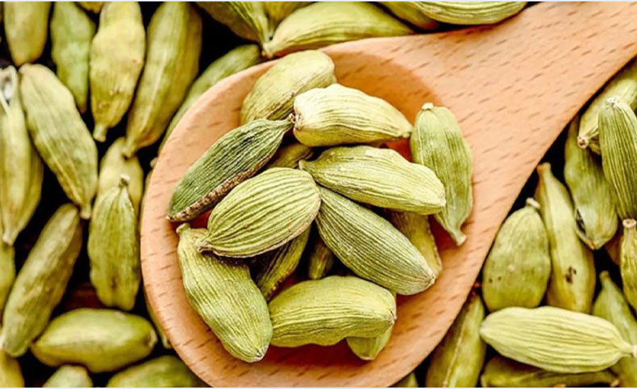 ক্যান্সার প্রতিরোধী এলাচ