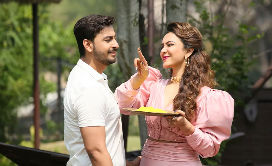 বনি-কৌশানীর বিয়ের গুঞ্জন