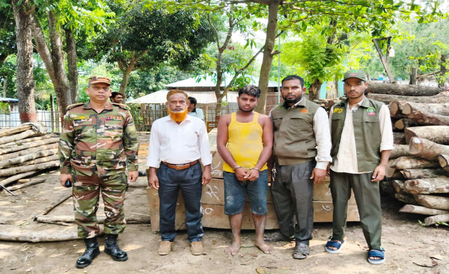 অবৈধ পথে পাচার কালে বাঙ্গালহালিয়া আর্মি ক্যাম্প ৫ লাখ টাকার সেগুনের কাঠ উদ্ধার