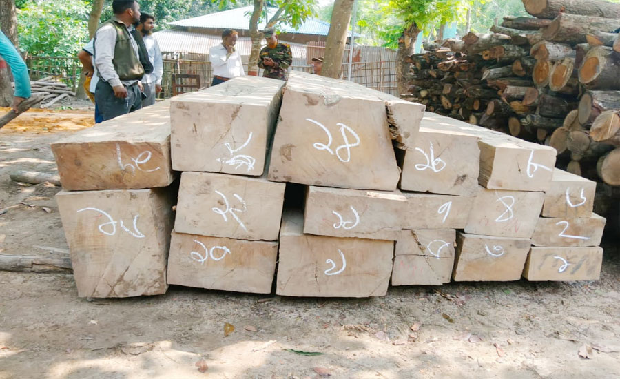 অবৈধ পথে পাচার কালে বাঙ্গালহালিয়া আর্মি ক্যাম্প ৫ লাখ টাকার সেগুনের কাঠ উদ্ধার