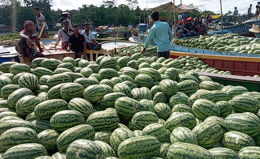 তরমুজের স্বর্গরাজ্য নাজিরপুরের ভাসমান বাজার 