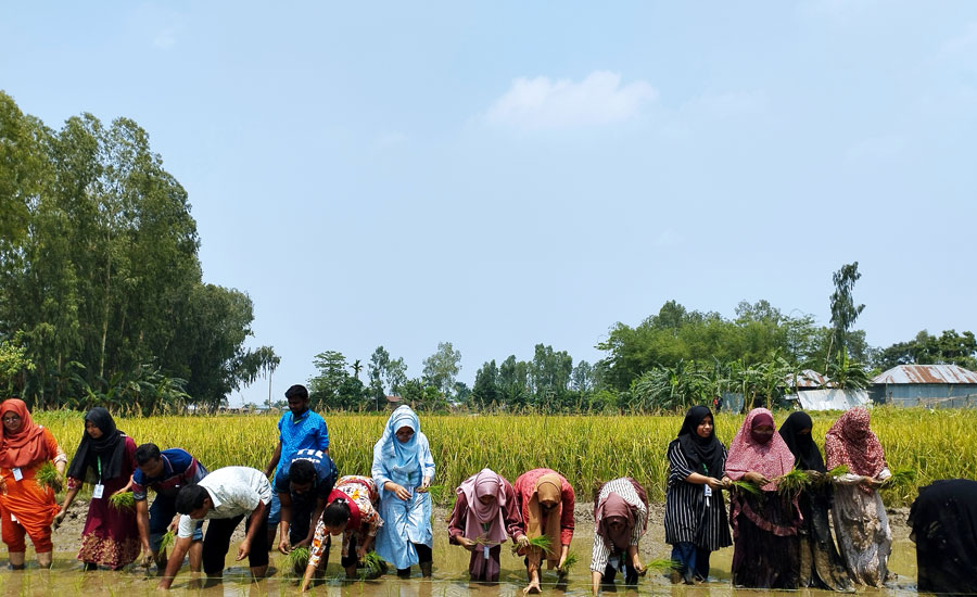 চরবনগ্রামে কৃষি বিশ্ববিদ্যালয়ের শিক্ষার্থীদের দিনব্যাপী শিক্ষা সফর বাস্তব অভিজ্ঞতায় সমৃদ্ধ হলো একাডেমিক জ্ঞান