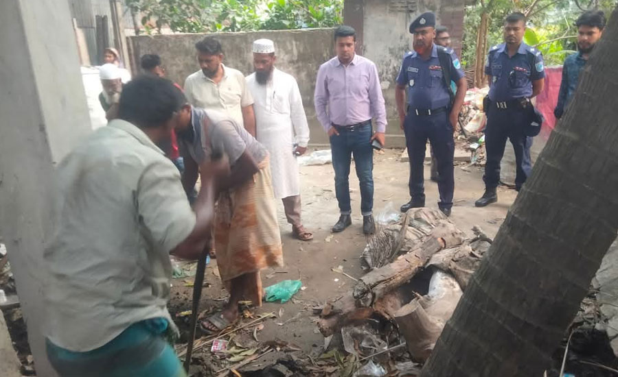 বন্দরে অবৈধ গ্যাস সংযোগ উচ্ছেদ অভিযান, ভ্রাম্যমান আদালতের জরিমানা