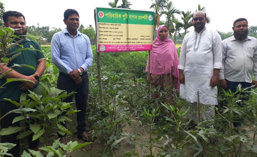 ভূরুঙ্গামারীতে পুষ্টিবাগান প্রকল্প পরিদর্শন