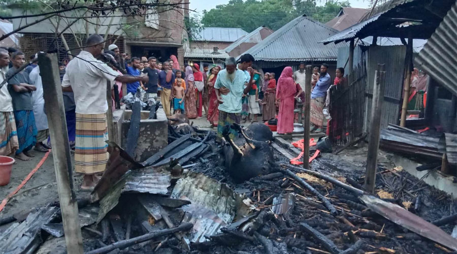 বাগমারায় গোয়ালঘরে আগুন পুড়ে মরল কৃষকের গরু-ছাগল, হাঁস-মুরগি 
