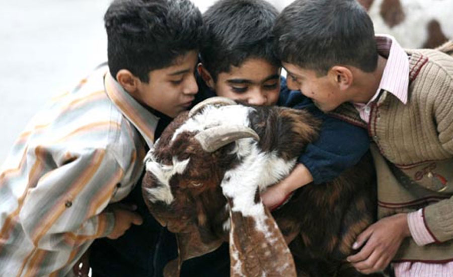পরিবারের সবার পক্ষে একটি পশু কুরবানি করা যাবে?