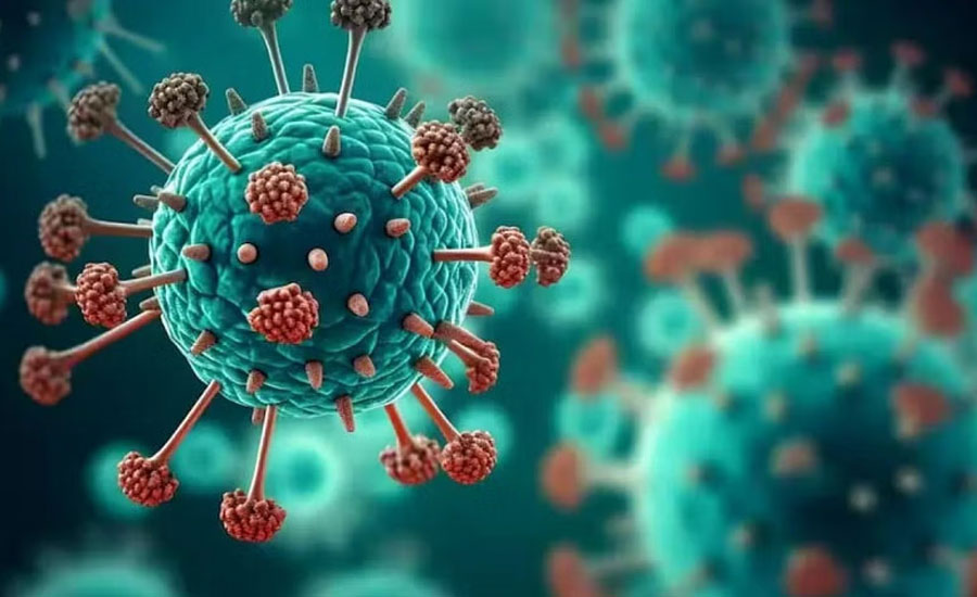 এইচএমপিভি কি হতে যাচ্ছে পরবর্তী বৈশ্বিক মহামারি?