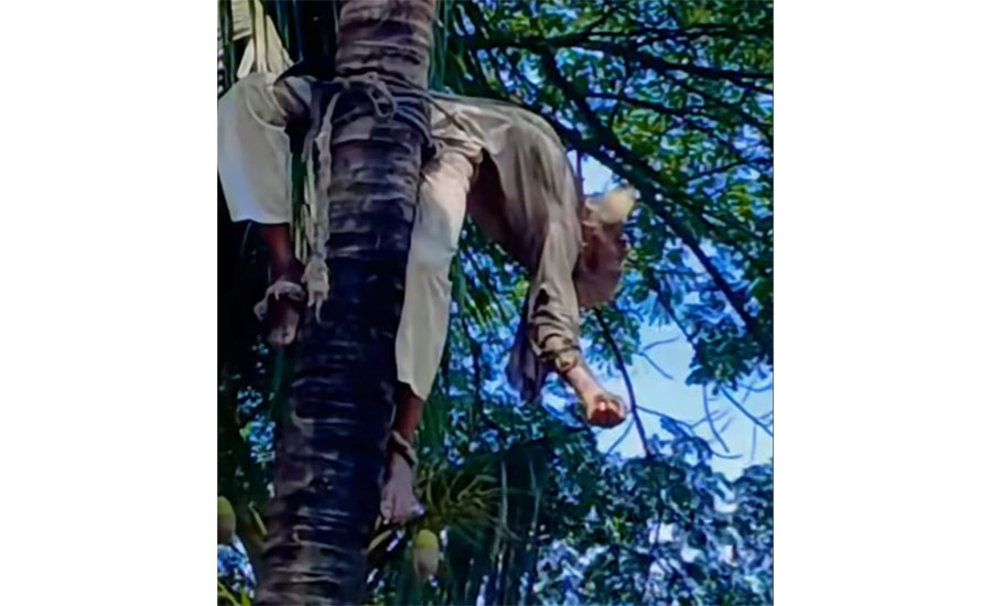 নাঙ্গলকোটে বিদ্যুৎপৃষ্টে প্রাণ গেল শ্রমিকের