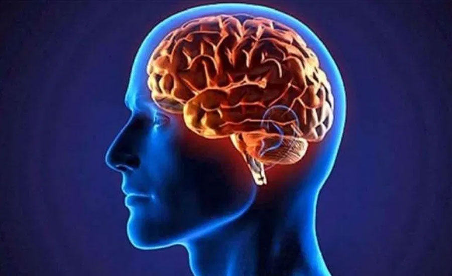 মস্তিষ্কের কার্যক্ষমতা বাড়াতে যা করবেন