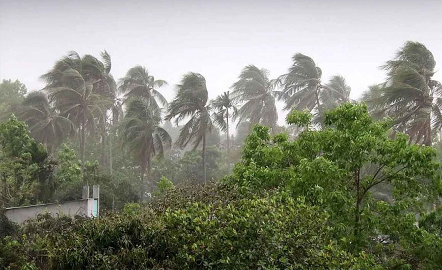দুপুরের মধ্যে যেসব জেলায় ঝড়বৃষ্টি হতে পারে
