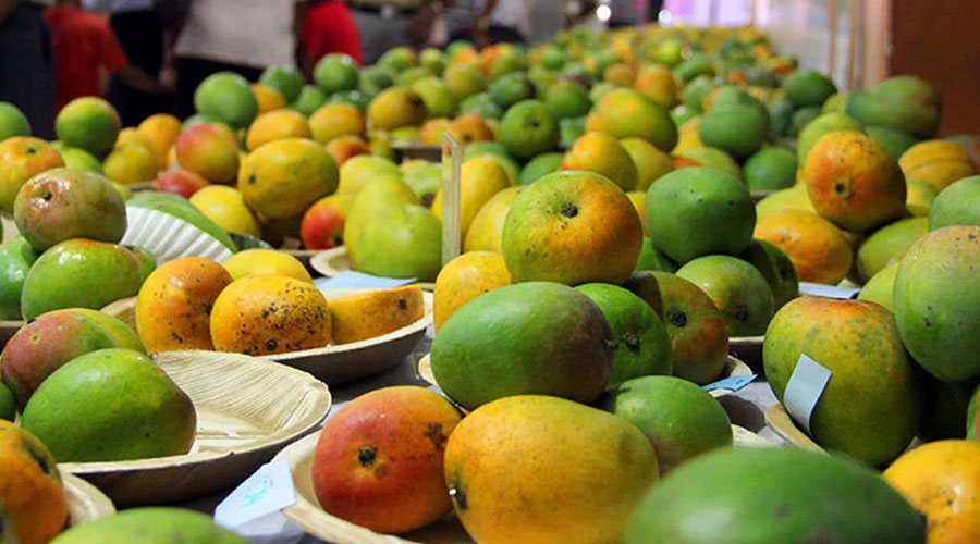 কাতারে সপ্তাহব্যাপী বাংলাদেশী আম মেলা 