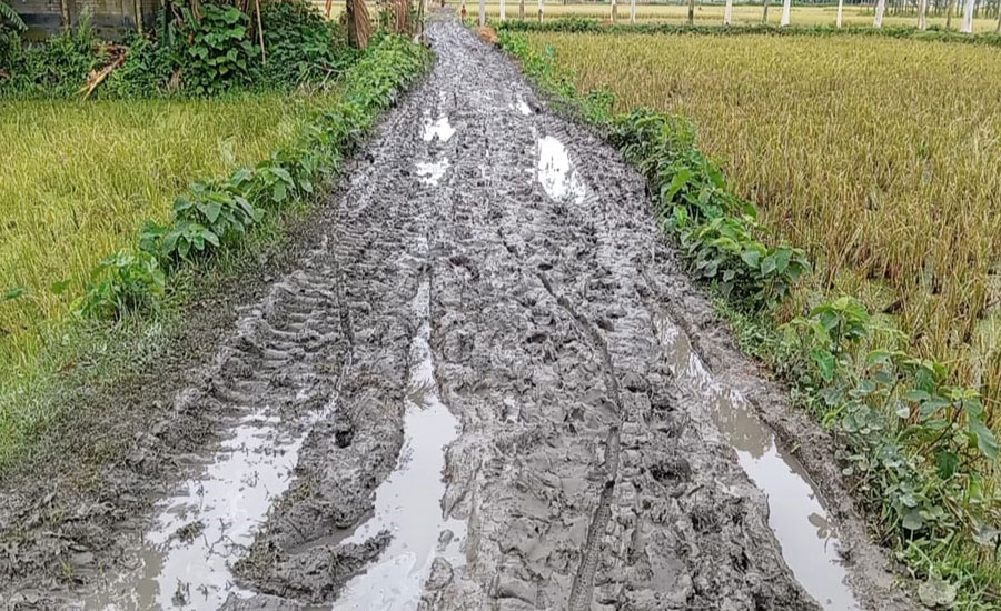 ভূরুঙ্গামারীতে রাস্তার বেহাল দশা, দুর্ভোগ চরমে