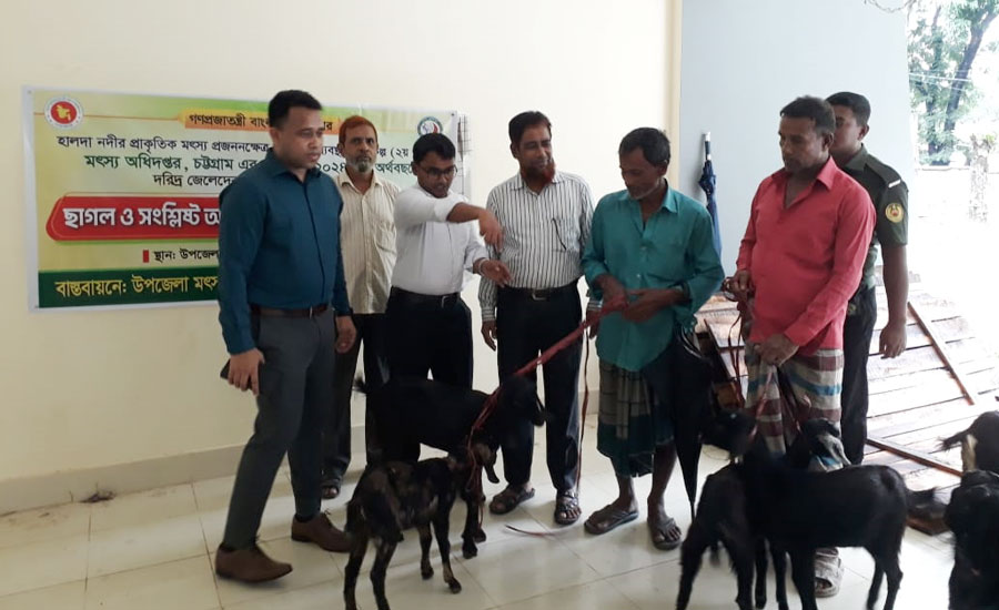 চন্দনাইশে দরিদ্র জেলেদের মাঝে ছাগল বিতরণ