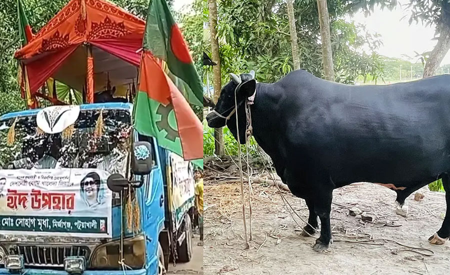 ফিরে গেল কালো মানিক, ভক্তকে ঈদ উপহার খালেদা জিয়ার