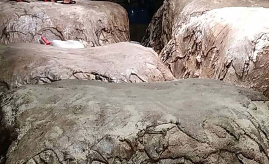 সরকার বাড়িয়ে দিলেও চামড়ায় এবারও কাঙ্ক্ষিত দাম মেলেনি