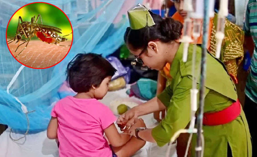 এডিসের প্রকোপ বেড়েছে, ডেঙ্গুর বড় সংক্রমণের শঙ্কা