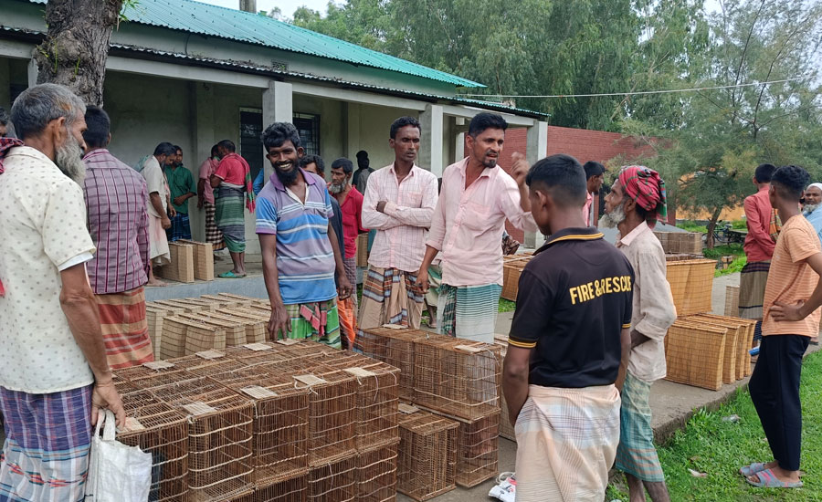 চলনবিলের হাট-বাজারে মাছ ধরার ধিয়াল কেনার হিড়িক